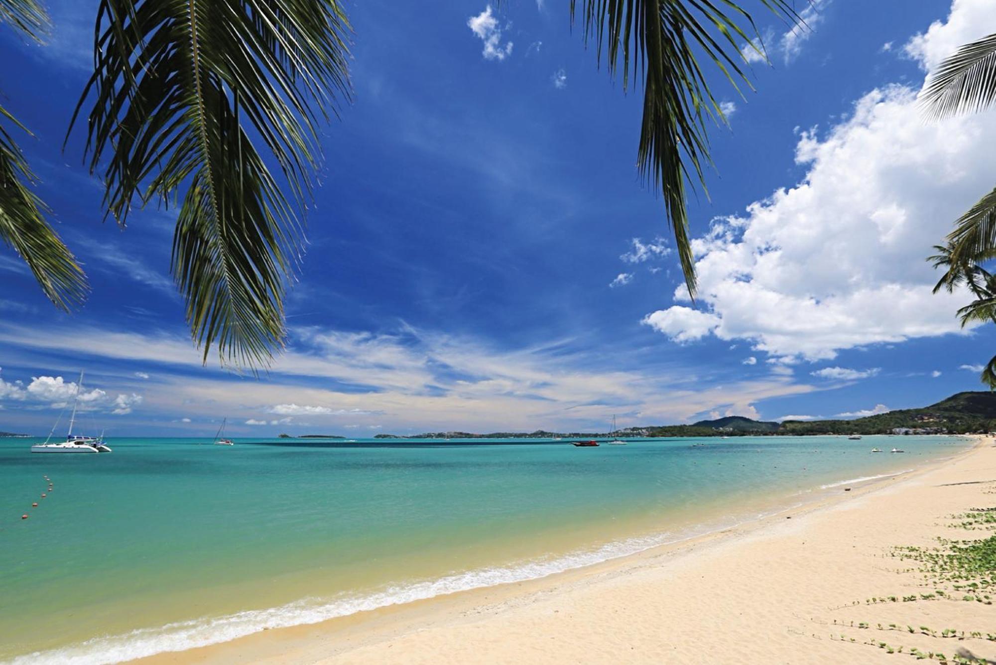 Celes Beachfront Koh Samui - Sha Bophut